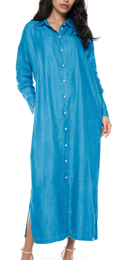 Doral Long Sleeve Button Down Dress